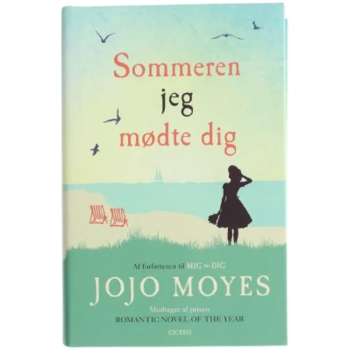 Sommeren jeg mødte dig